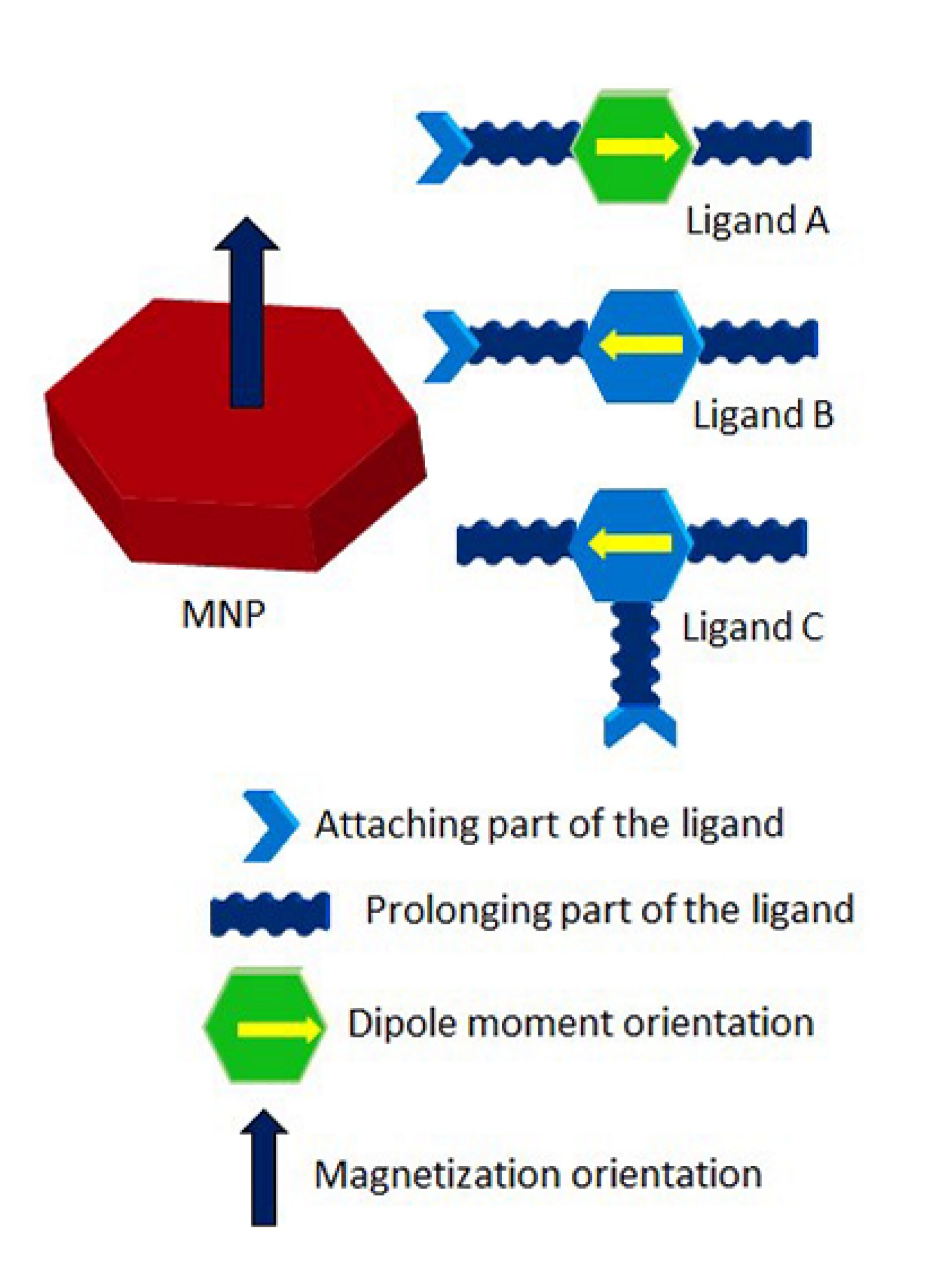 Multifunctional hybrid materials with controllable ferroic properties